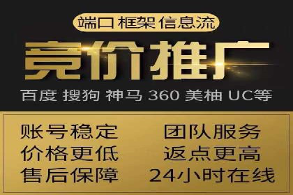百度竞价排名实战：某行业领先企业的成功之路